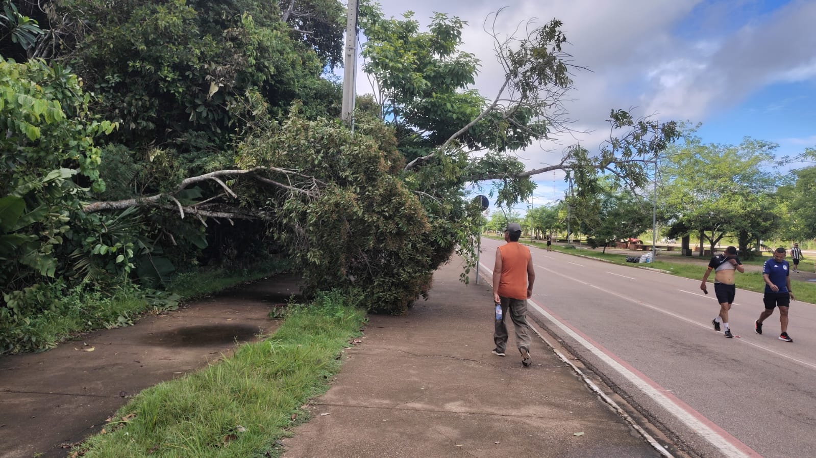 porto velho, espaço alternativo, pista
