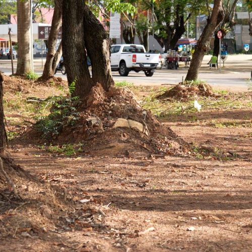 Antigo ponto de alagação vai se transformar em espaço de convívio social