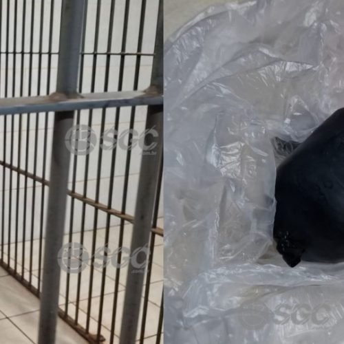 Jovem é presa com cocaína escondida nas partes íntimas ao tentar entrar no presídio Urso Panda