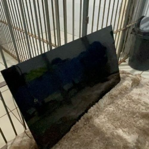 Polícia prende dupla com objetos roubados de idosa em condomínio na zona leste