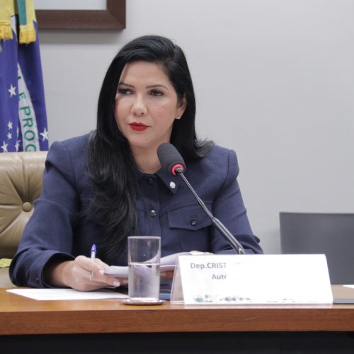 Cristiane Lopes promove audiência pública na Câmara em defesa dos produtores rurais de Rondônia e do Brasil