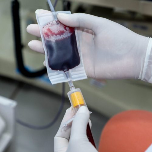 Fhemeron e Porto Velho Shopping promovem campanha de doação de sangue no dia 28 de junho