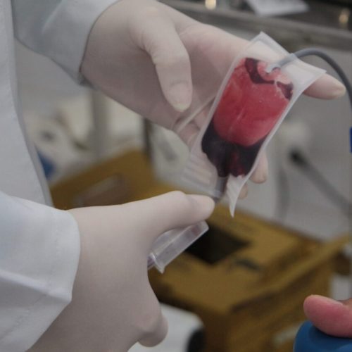 Com baixo volume no estoque de sangue, Fhemeron mobiliza população para doação em Rondônia