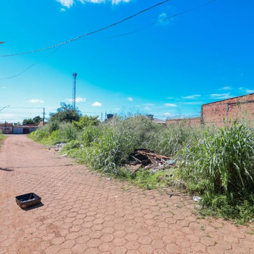 Prefeito Léo Moraes encaminha projeto de lei para multar quem jogar lixo em Porto Velho