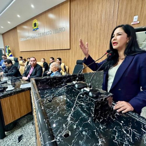 Deputada Cristiane Lopes Participa de Audiência Pública Para Solucionar Alagamentos em Porto Velho