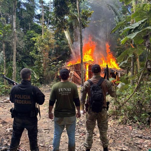 Polícia Federal de Rondônia destrói máquinas usadas em desmatamento em terra indígena