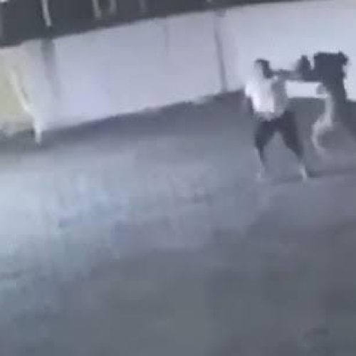 Garota de programa vai atender cliente e encontra ex marido com outra