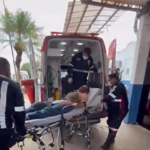 Ataque de onça deixa homem ferido e assusta moradores na zona rural de Porto Velho