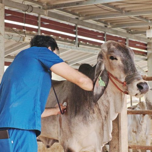 Idaron divulga processo seletivo com salário de até R$ 7 mil em Rondônia