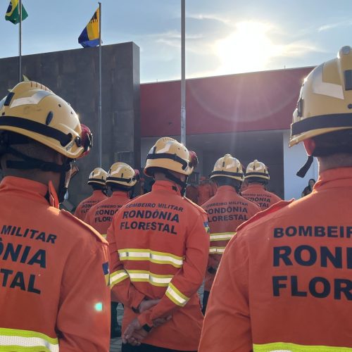 Inscrições para seleção com 270 vagas de brigadista temporário em RO terminam nesta terça-feira, 30