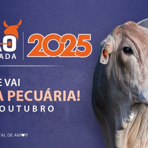2° Conexão Alvorada acontece em Ji-Paraná nos dias 16 e 17 de outubro com foco na modernização da pecuária