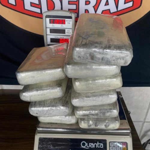 Polícia Federal apreende 24 kg de skunk no Aeroporto Internacional Jorge Teixeira