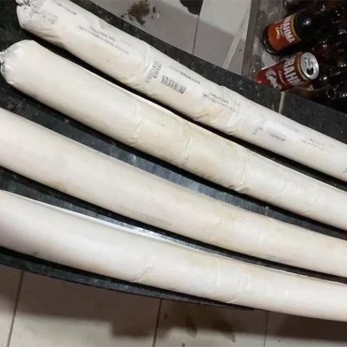Mulher é presa com explosivos e munições em residência na zona leste de Porto Velho