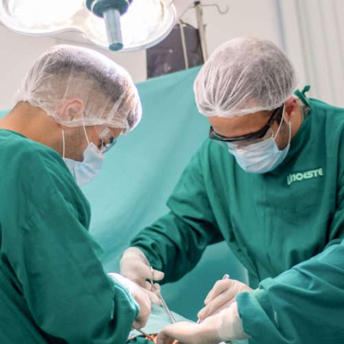Faculdade de Medicina em Ariquemes é oficializada com 60 vagas anuais