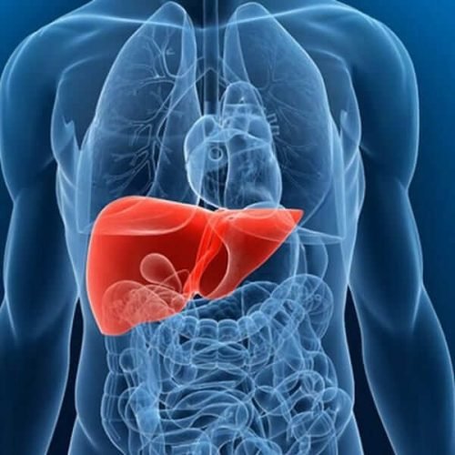 Rondônia tem 2ª maior taxa de hepatite B do Brasil e Porto Velho lidera entre as capitais