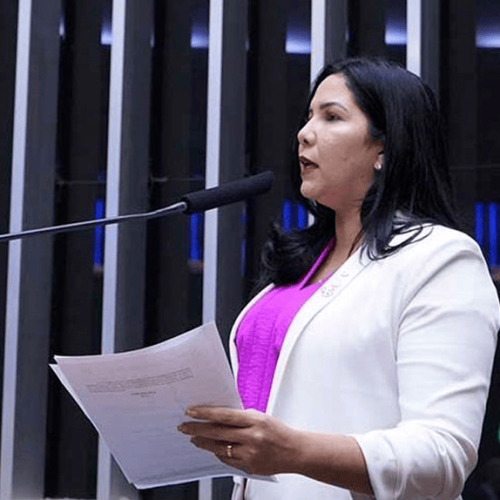 Deputada Federal Cristiane Lopes Pede Suspensão do Leilão da BR-364