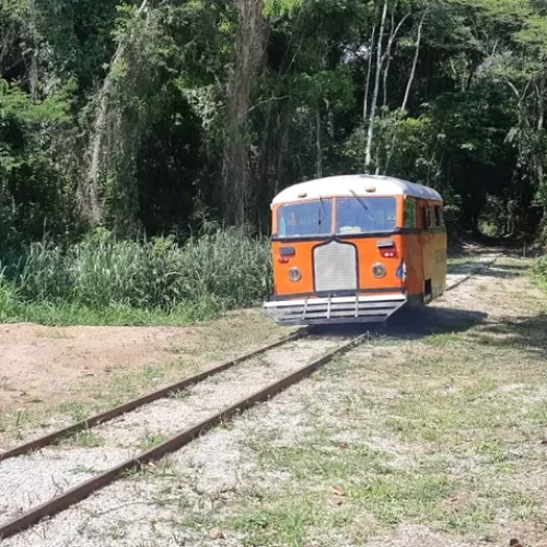 Litorina volta a fazer passeios em Porto Velho; confira a programação