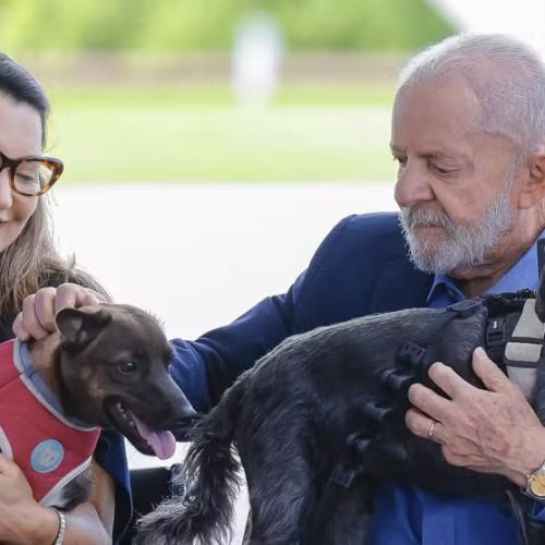 RG pra pets, verba de R$ 27 milhões pro STF e mais