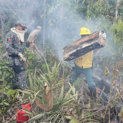 Corpo de Bombeiros abre seleção para brigadistas temporários em Rondônia